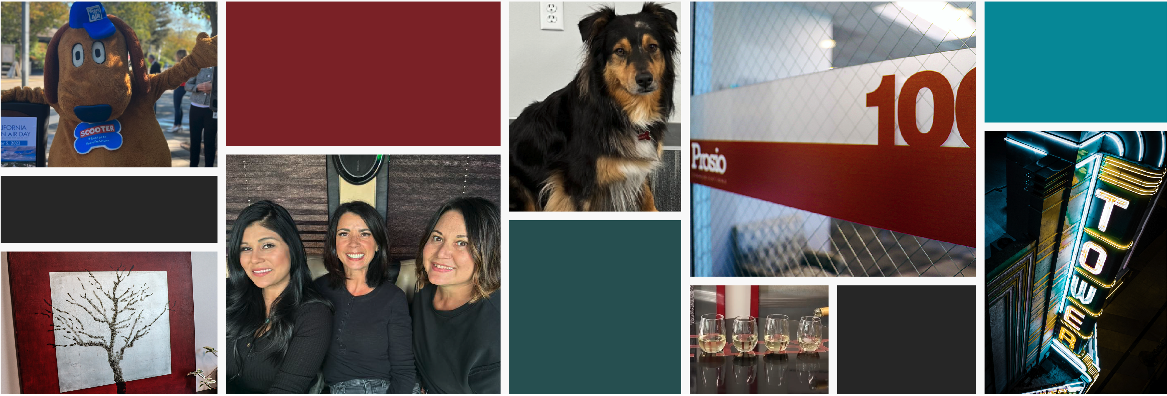 Prosio Communications Logo